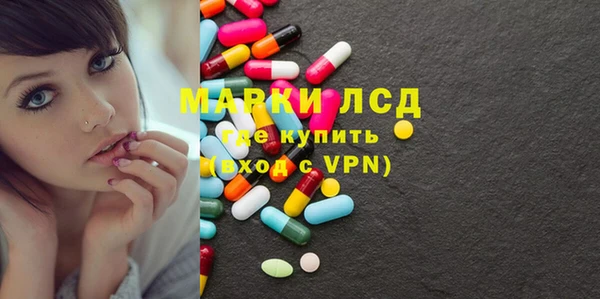 прущие грибы Алексин